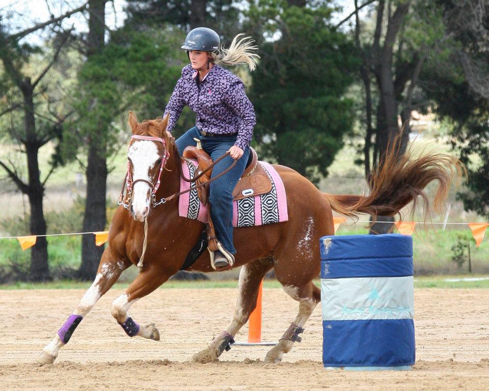 MatakakaLodge Barrel Horses